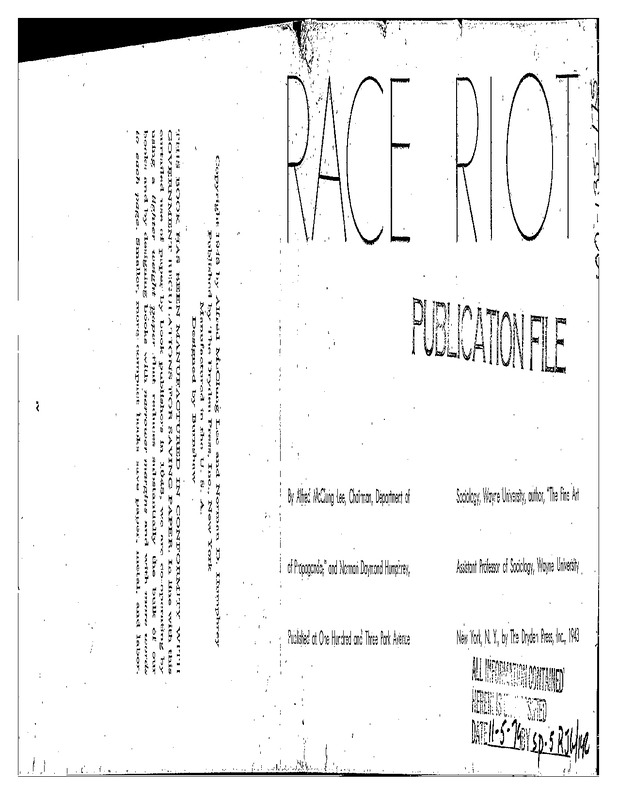 Race Riot (Book)